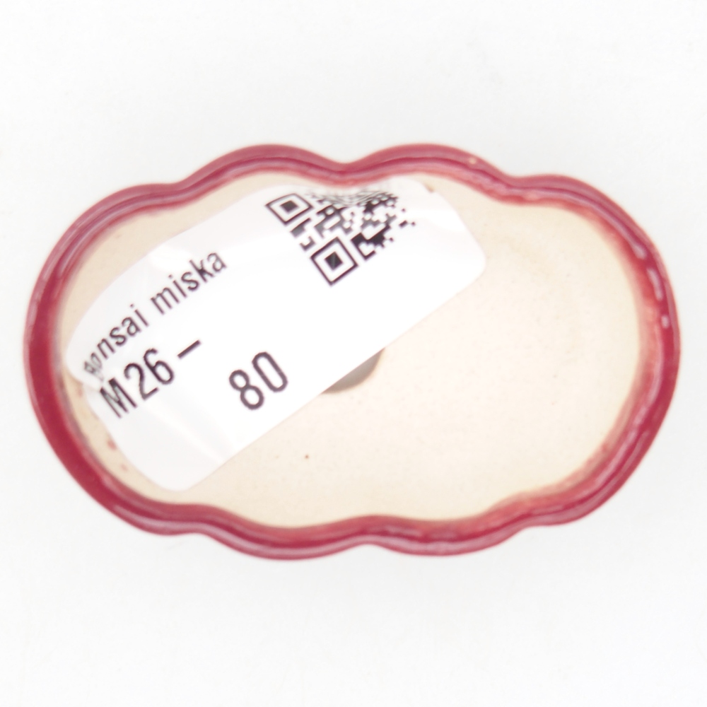 Mini bol bonsaï 5,5 x 3,5 x 1,5 cm, bordeaux