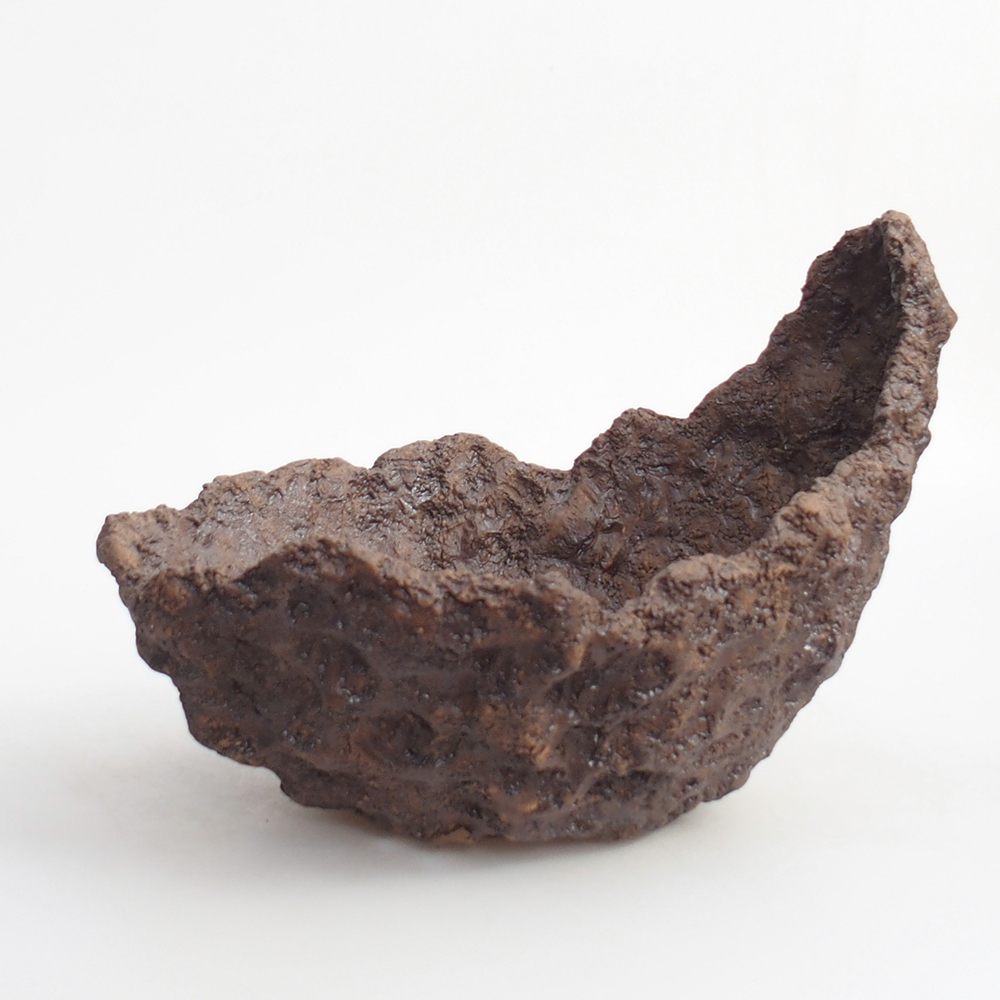 Coquille en céramique 20 x 16 x 17 cm , couleur marron