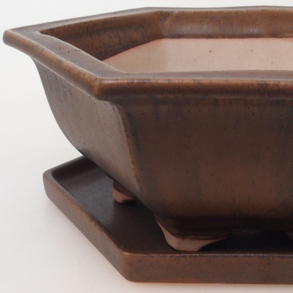 Bol Bonsaï + soucoupe H53 - 19 x 21,5 x 7 cm - brun