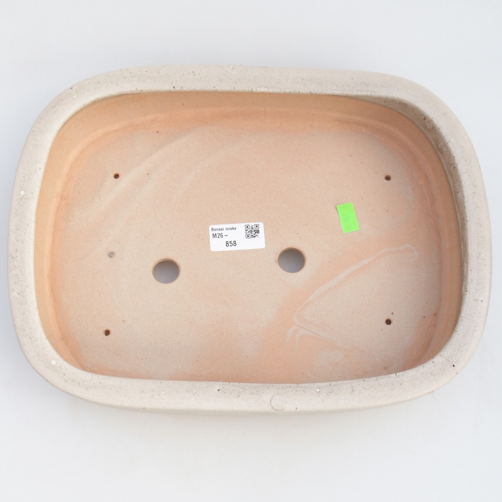 Bol à bonsaï en céramique 31,5 x 24 x 6 cm, couleur beige