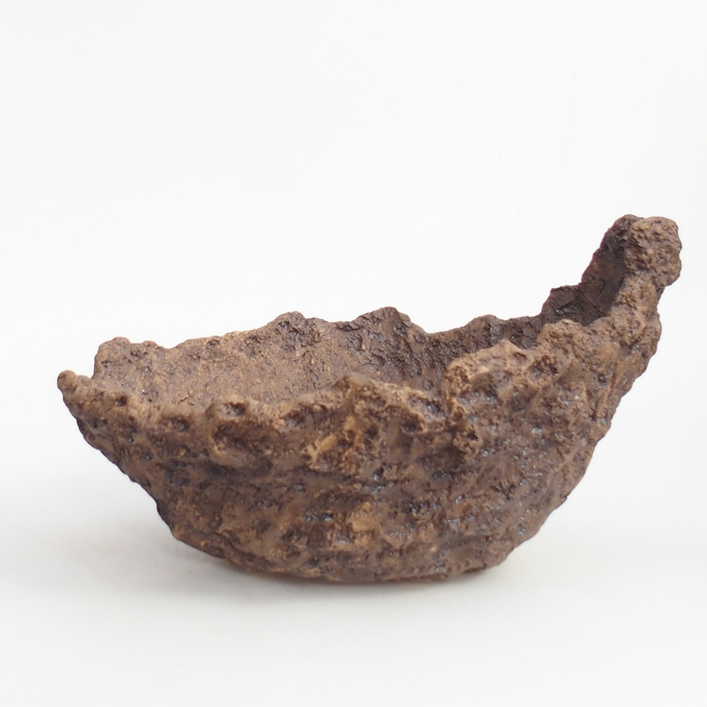 Coquille en céramique 24 x 20 x 16,5 cm , couleur marron