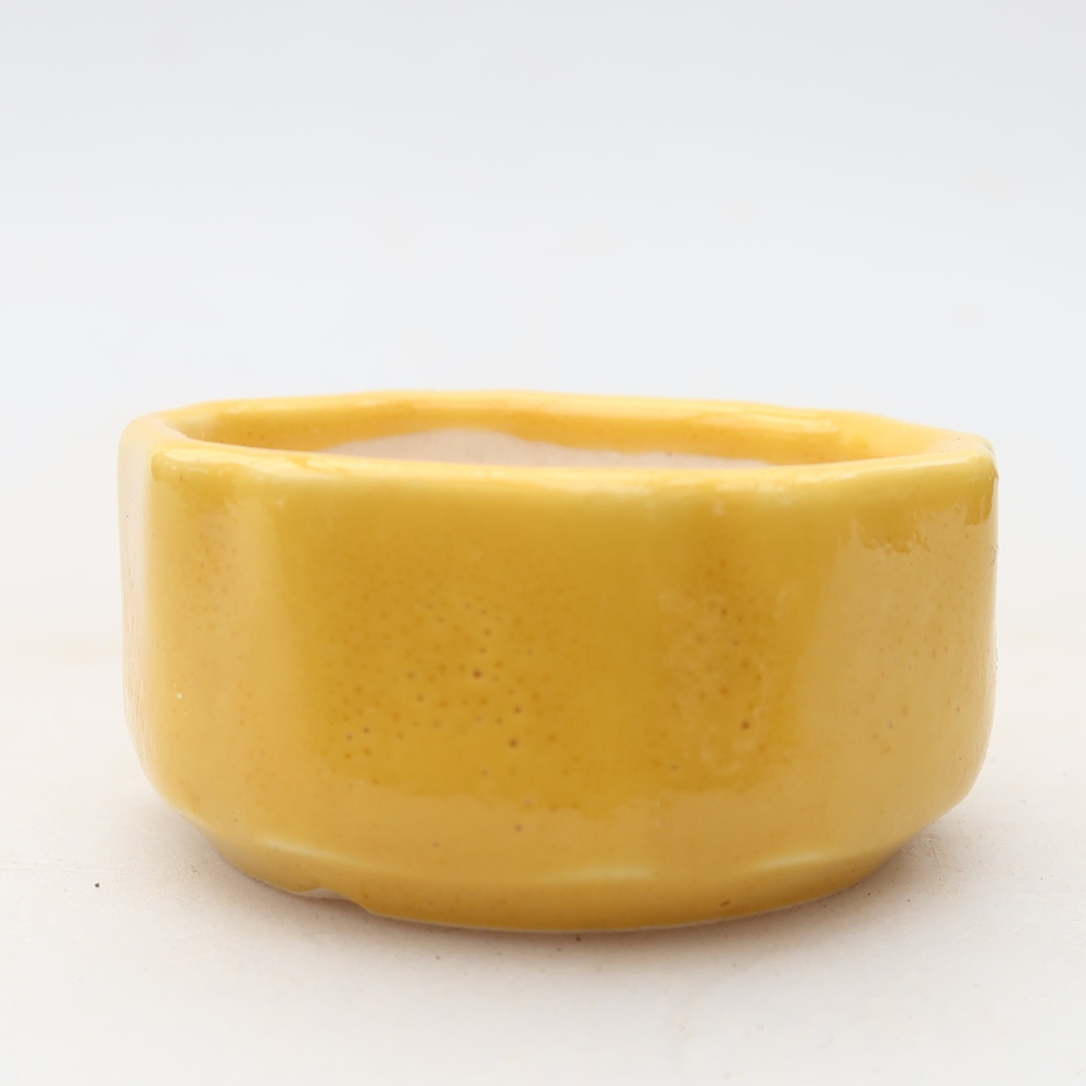 Pot à bonsaï en céramique 5 x 5 x 2,5 cm, couleur jaune
