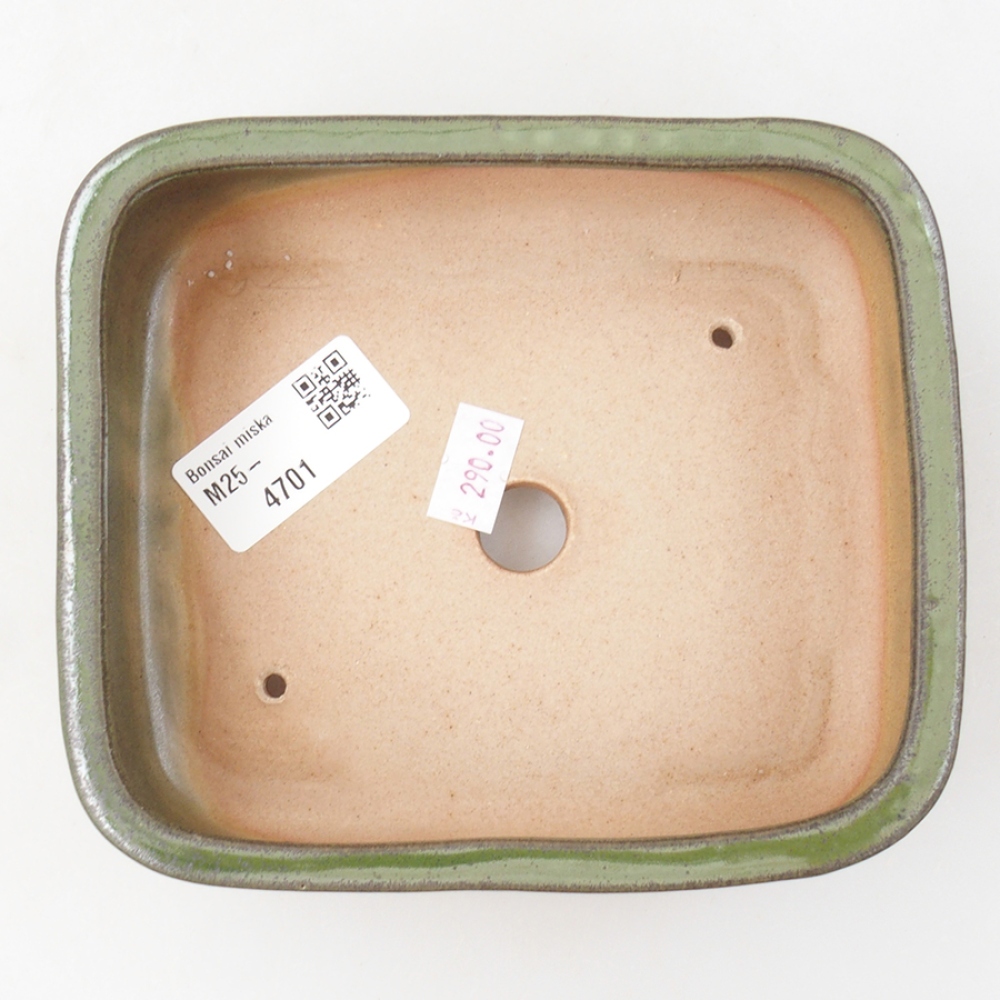 Bol à bonsaï en céramique 14 x 12,5 x 4,5 cm, vert