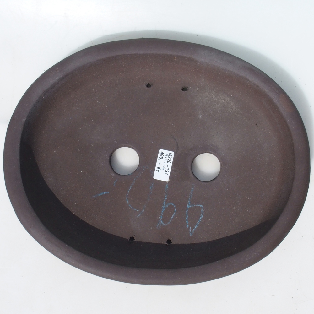 Bol pour bonsaï 38 x 21 x 5 cm bouleau brun