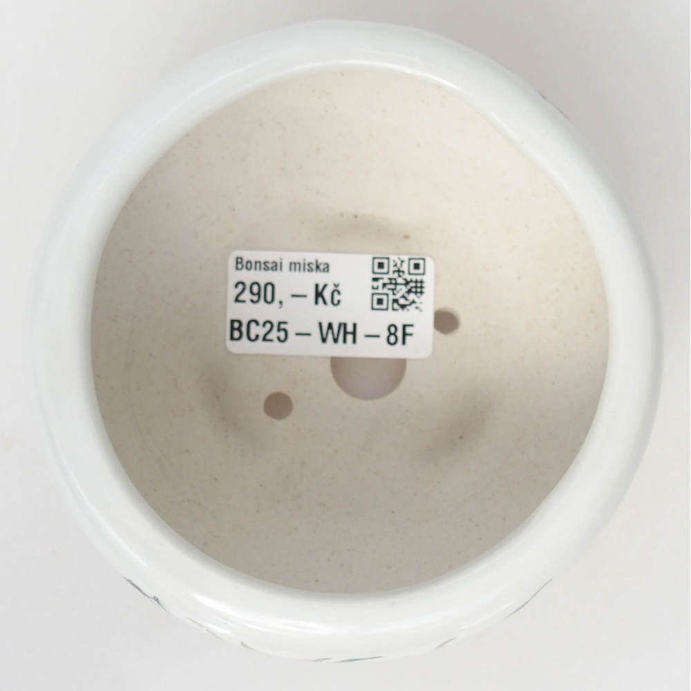 Bol à bonsaï en céramique 10 x 10 x 5 cm, couleur blanc