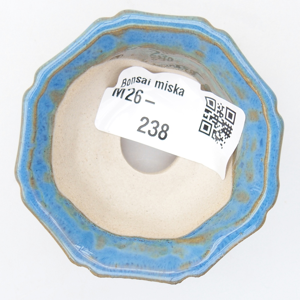 Mini bol bonsaï 6 x 6 x 2,5 cm, couleur bleu