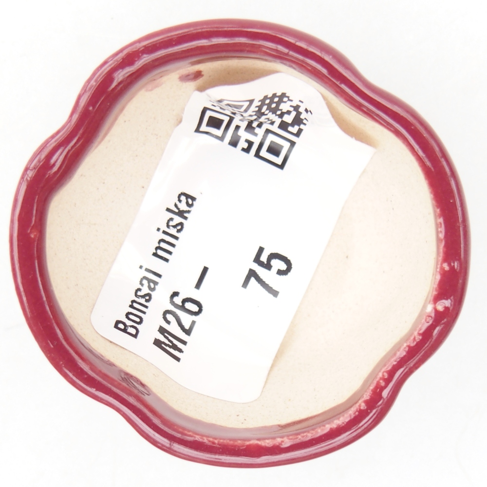 Mini bol bonsaï 4 x 4 x 2 cm, bordeaux