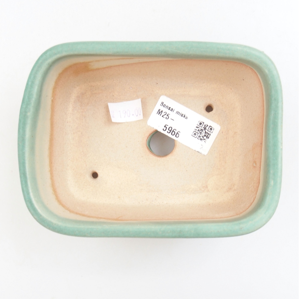 Bol à bonsaï en céramique 22 x 17 x 5 cm, vert