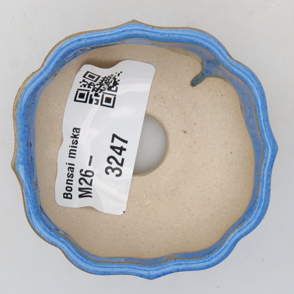 Pot à bonsaï en céramique 6 x 6 x 3 cm, couleur bleue