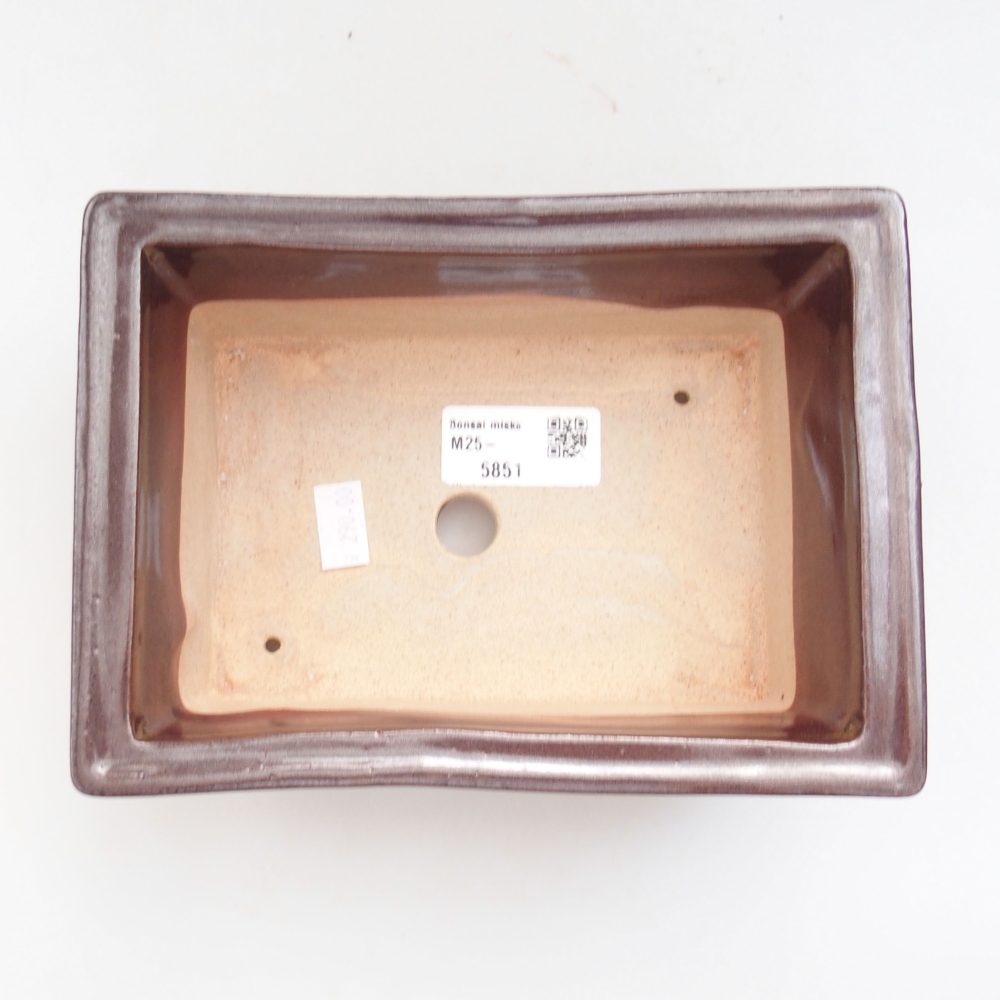 Bol à bonsaï en céramique 22 x 17 x 5 cm, vert