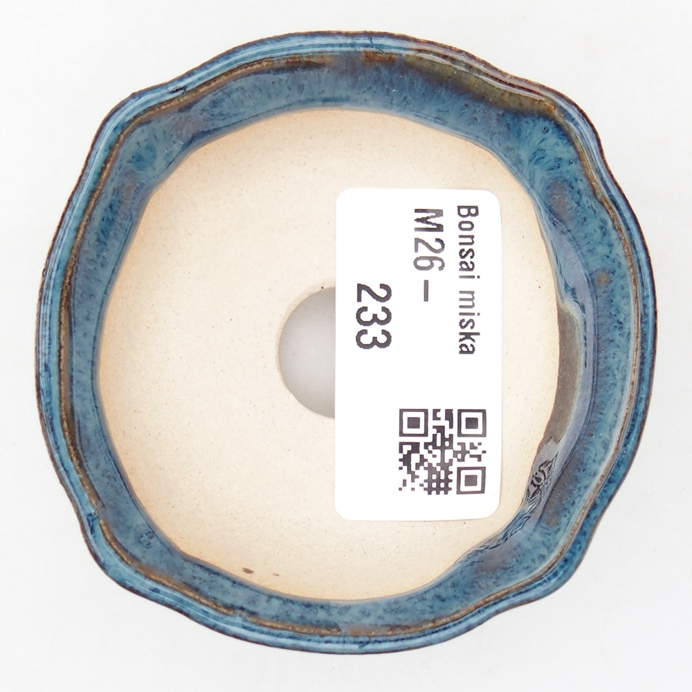 Mini bol bonsaï 6,5 x 6,5 x 2,5 cm, couleur bleu
