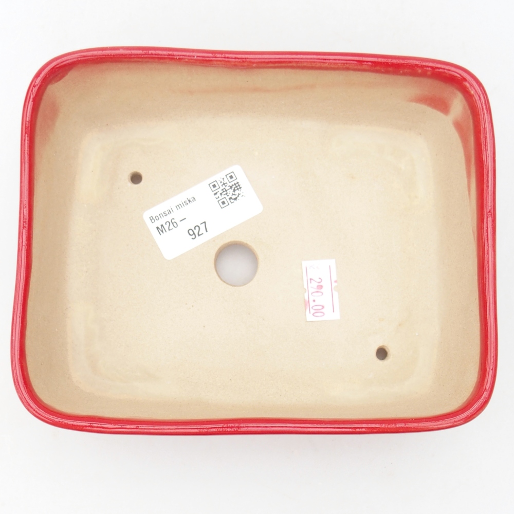 Bol à bonsaï en céramique 15 x 12 x 4,5 cm, couleur rouge