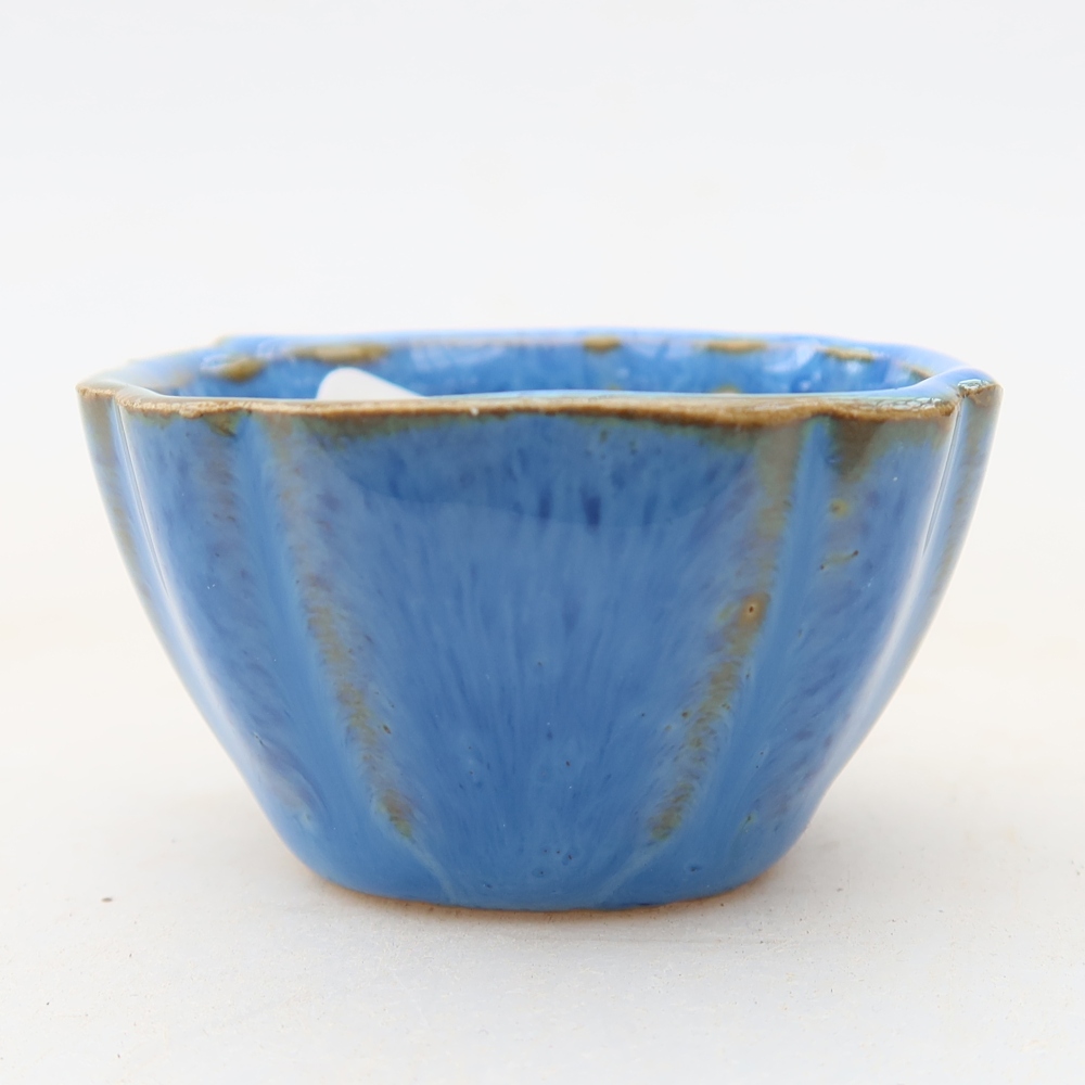 Bol à bonsaï en céramique 4,5 x 4,5 x 2,5 cm, couleur bleu