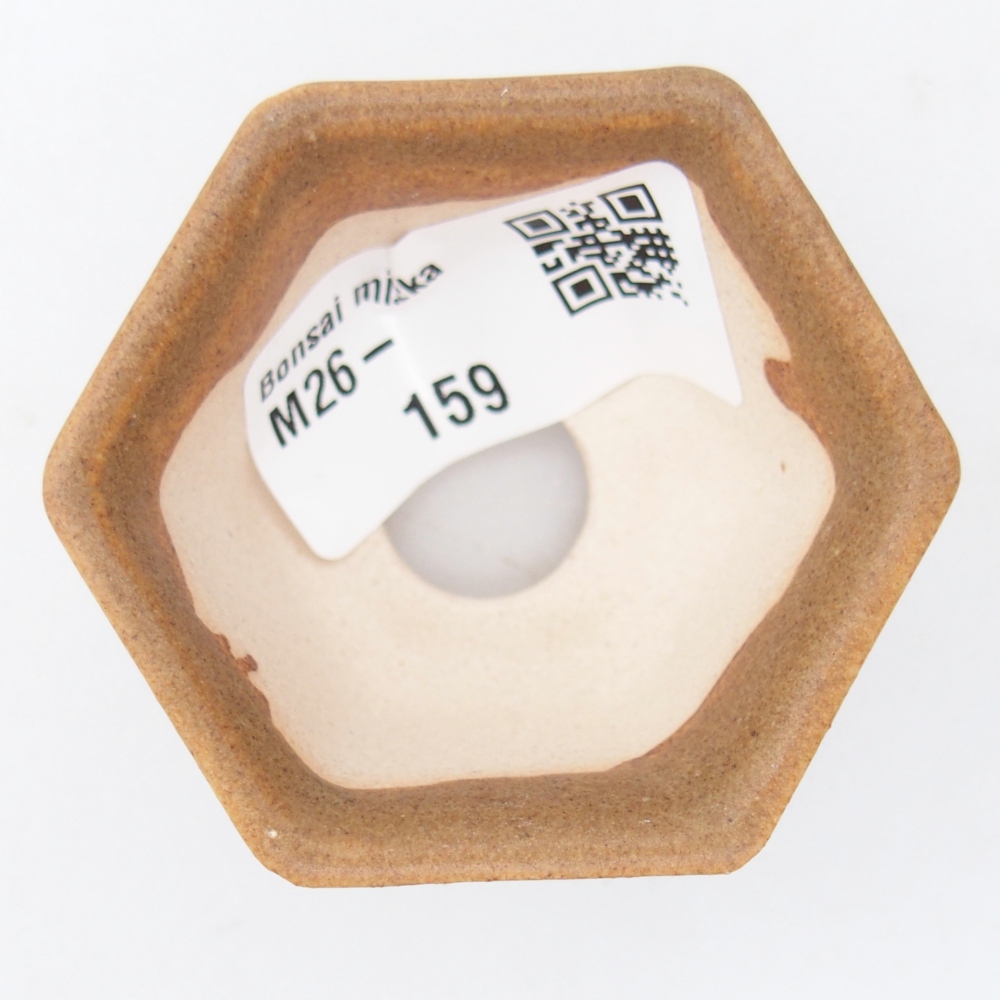 Mini bol bonsaï 5,5 x 5 x 3 cm, brun