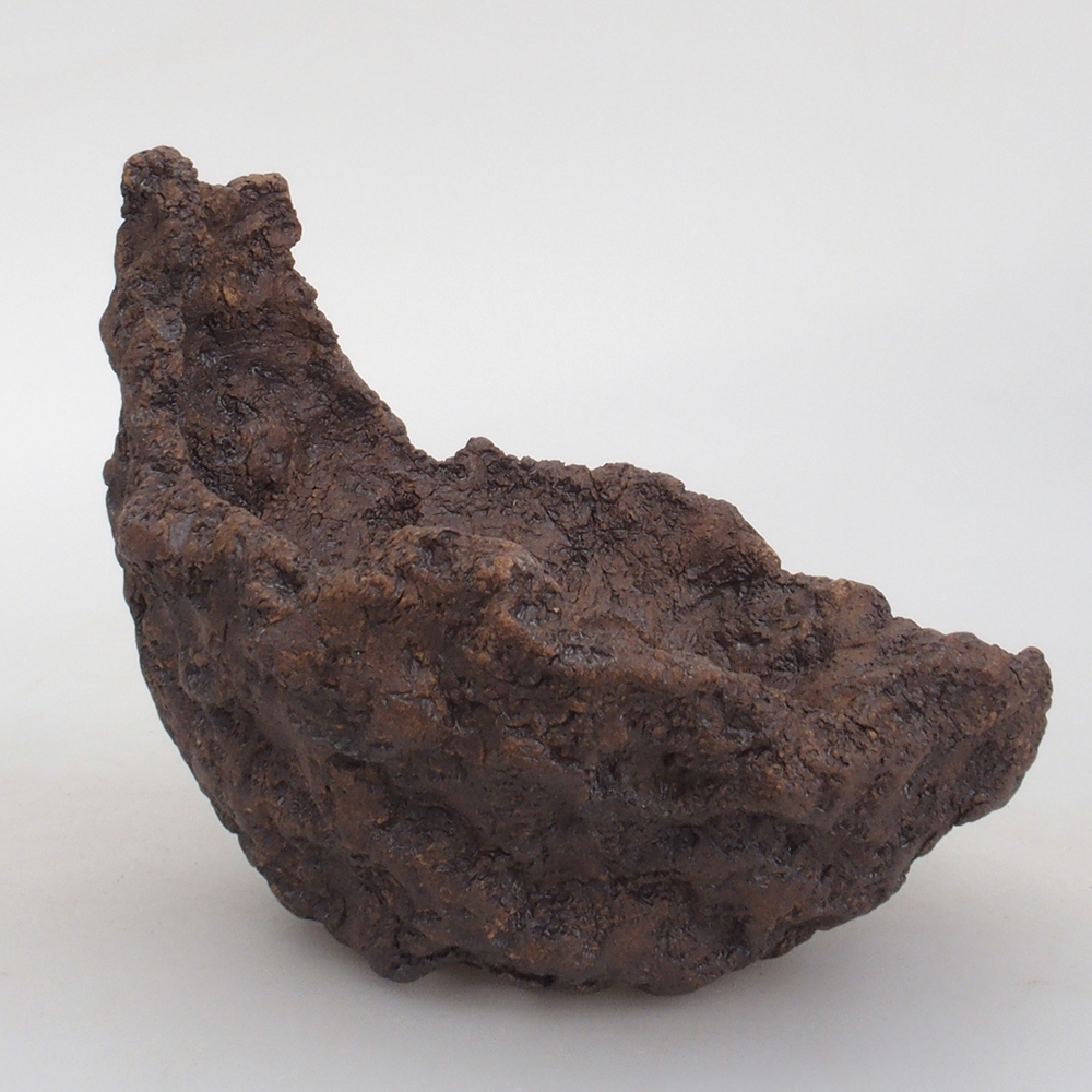 Coquille en céramique 13 x 10,5 x 12,5 cm , couleur marron