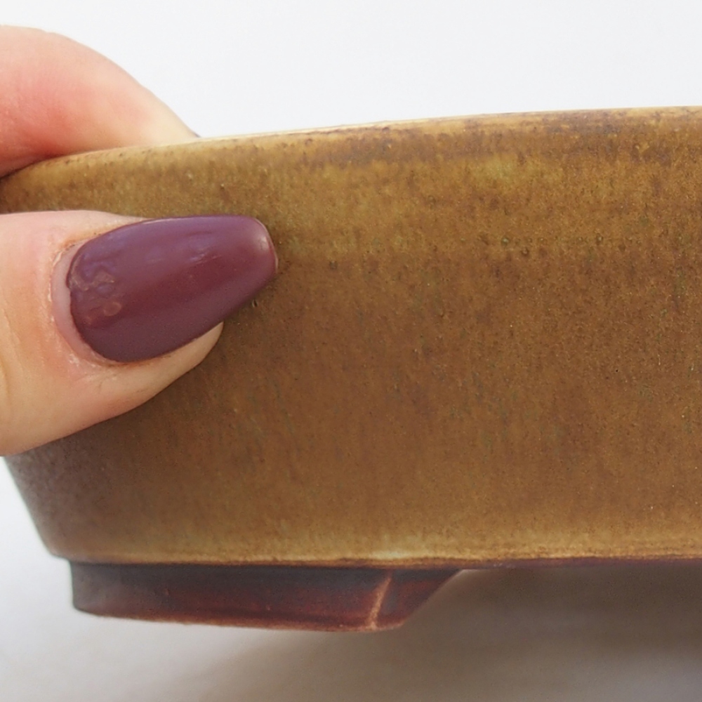 Bol à bonsaï en céramique 18,5 x 16,5 x 4 cm, vert