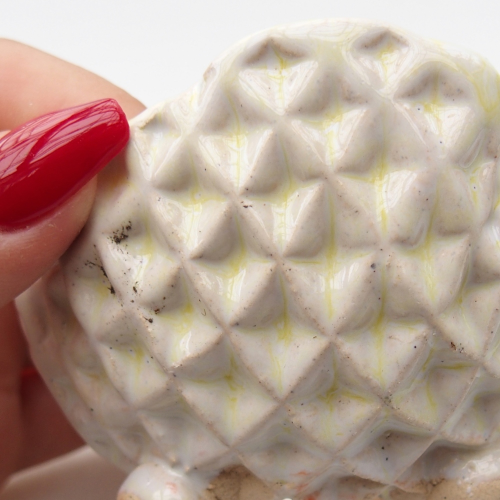 Coquille en céramique 8 x 8 x 5 cm , couleur verte