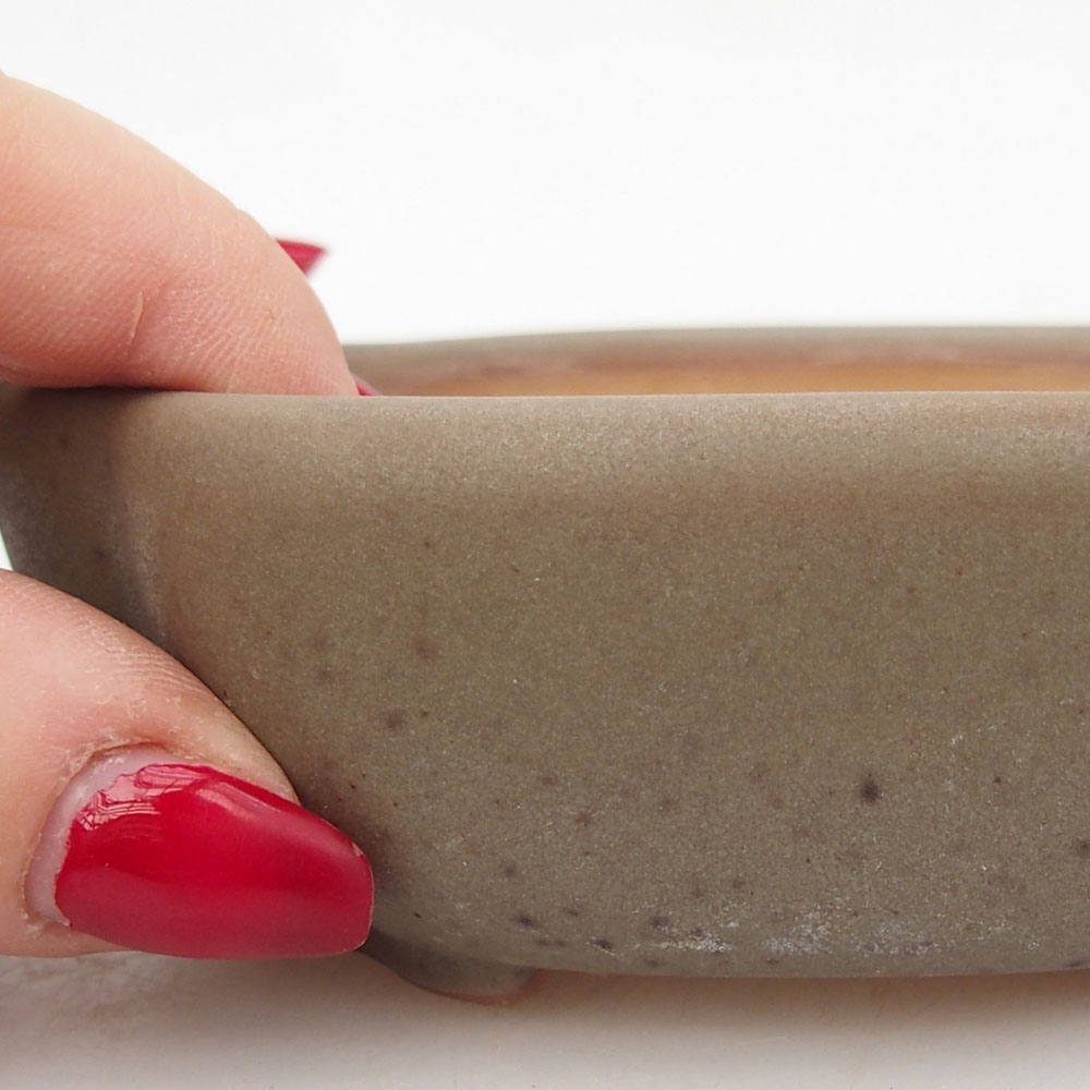 Bol à bonsaï en céramique 125 x 10 x 3 cm, brun