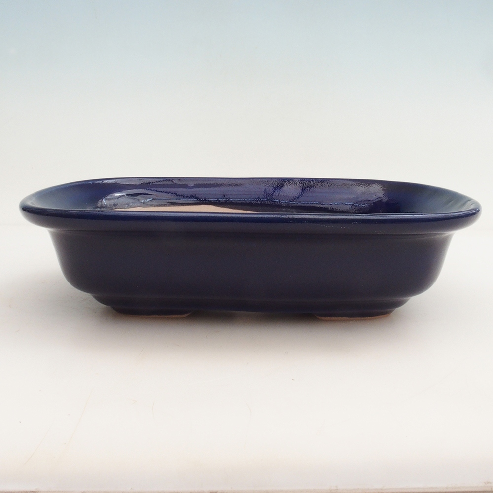 Coupe Bonsaï H25 - 23 x 17 x 5,5 cm - bleu