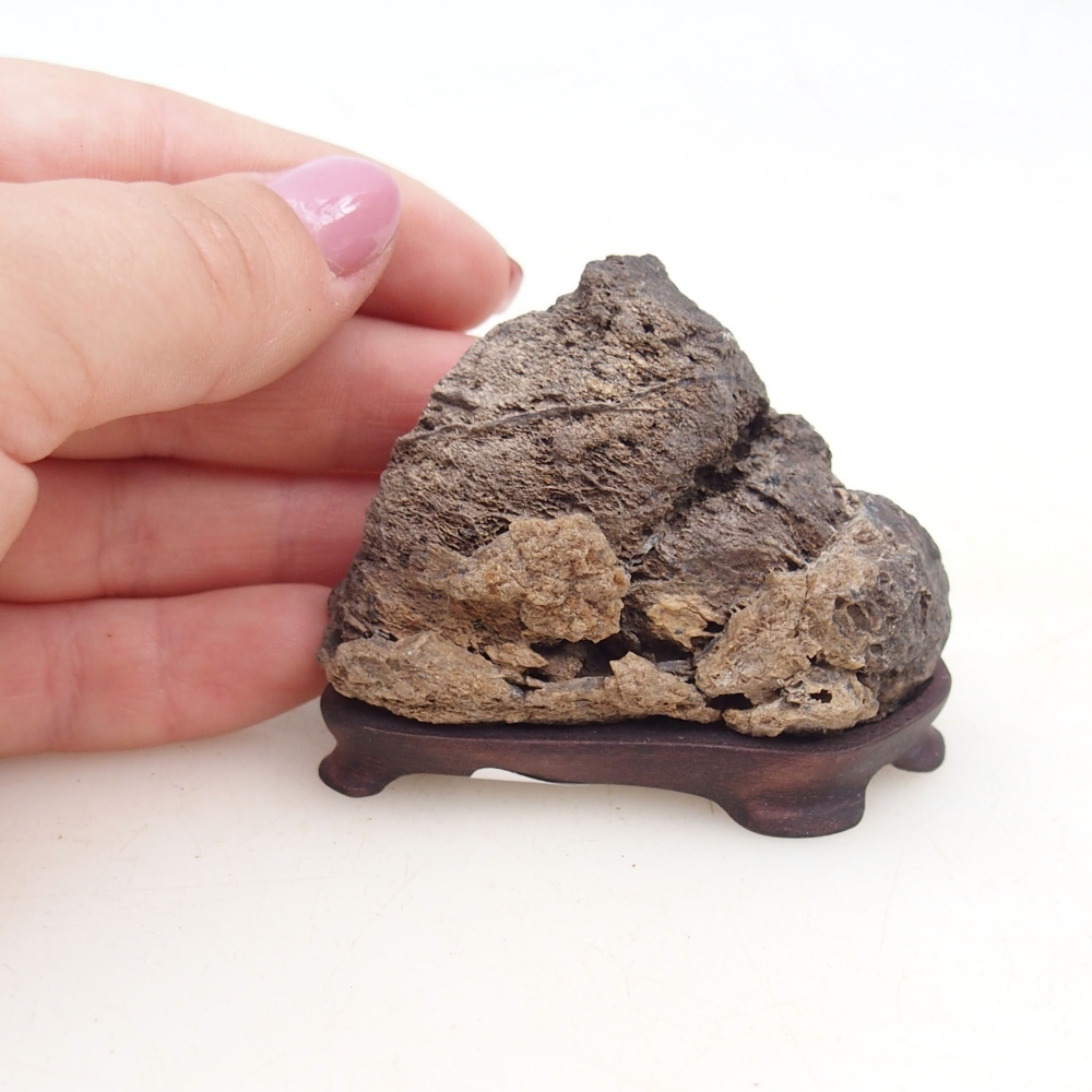 Suiseki - Pierre avec DAI (base en bois)