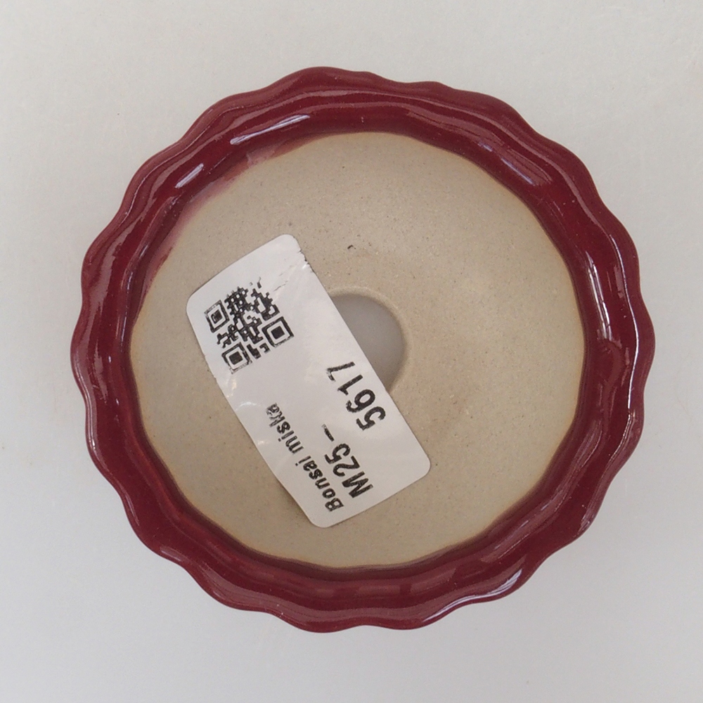 Mini bol bonsaï 6,5 x 6,5 x 3,5 cm, bordeaux