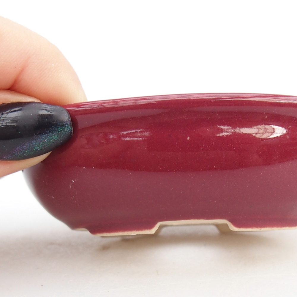 Mini bol bonsaï 8 x 6 x 2,5 cm, bordeaux