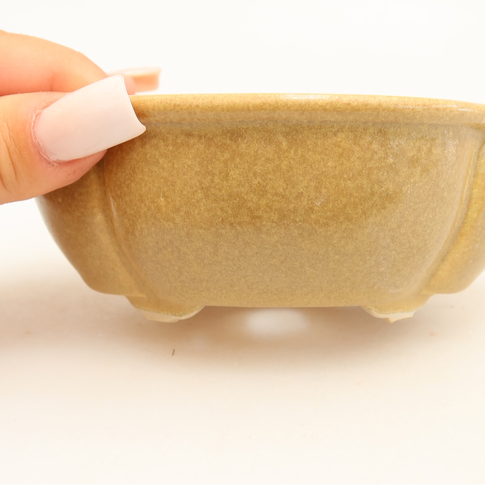 Pot à bonsaï en céramique 12,5 x 10,5 x 4,5 cm, couleur beige