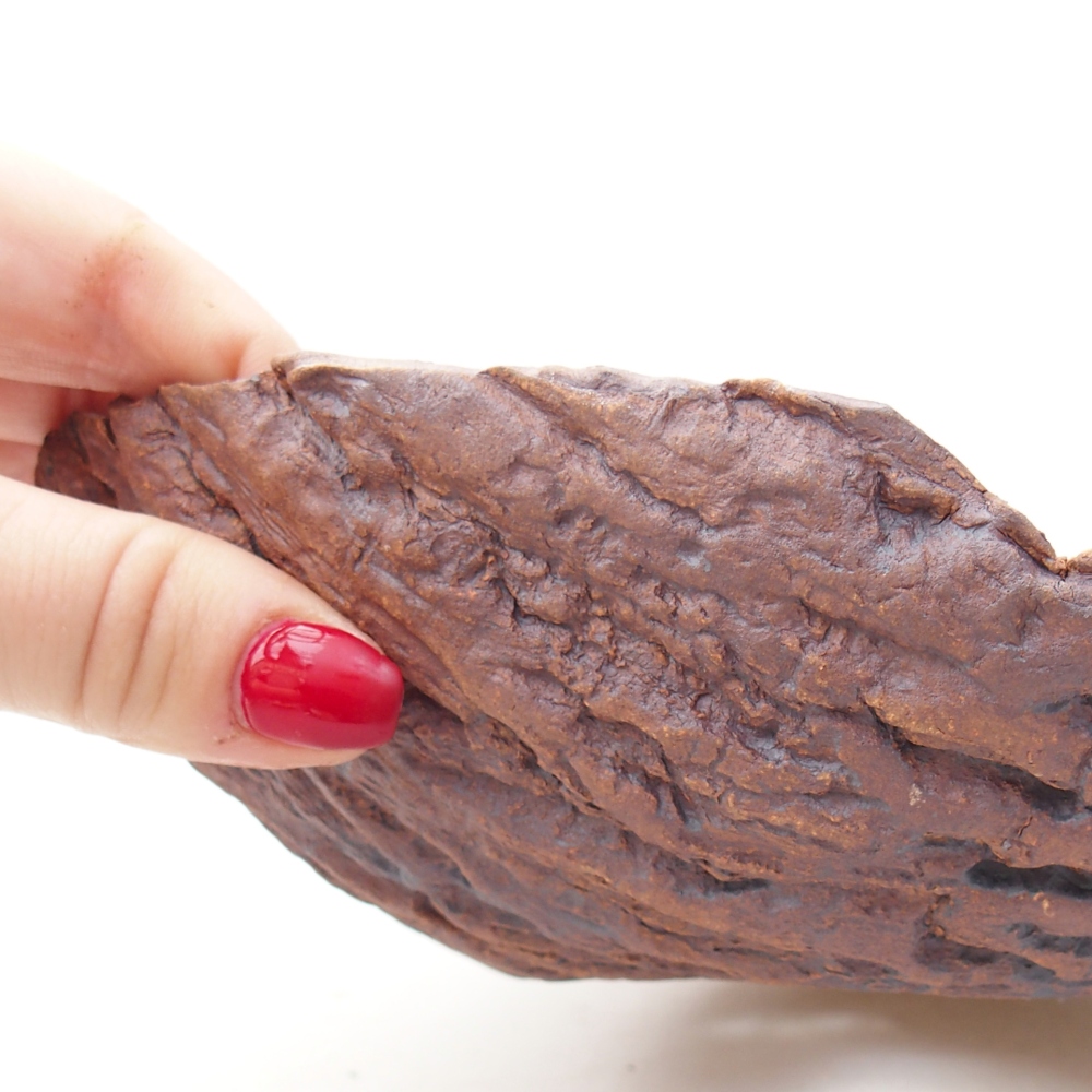 Coquille en céramique 20 x 16 x 6 cm , couleur marron