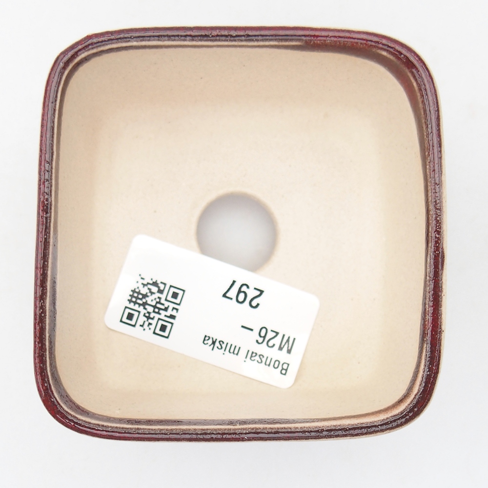 Mini bol bonsaï 7 x 7 x 4 cm, couleur rouge