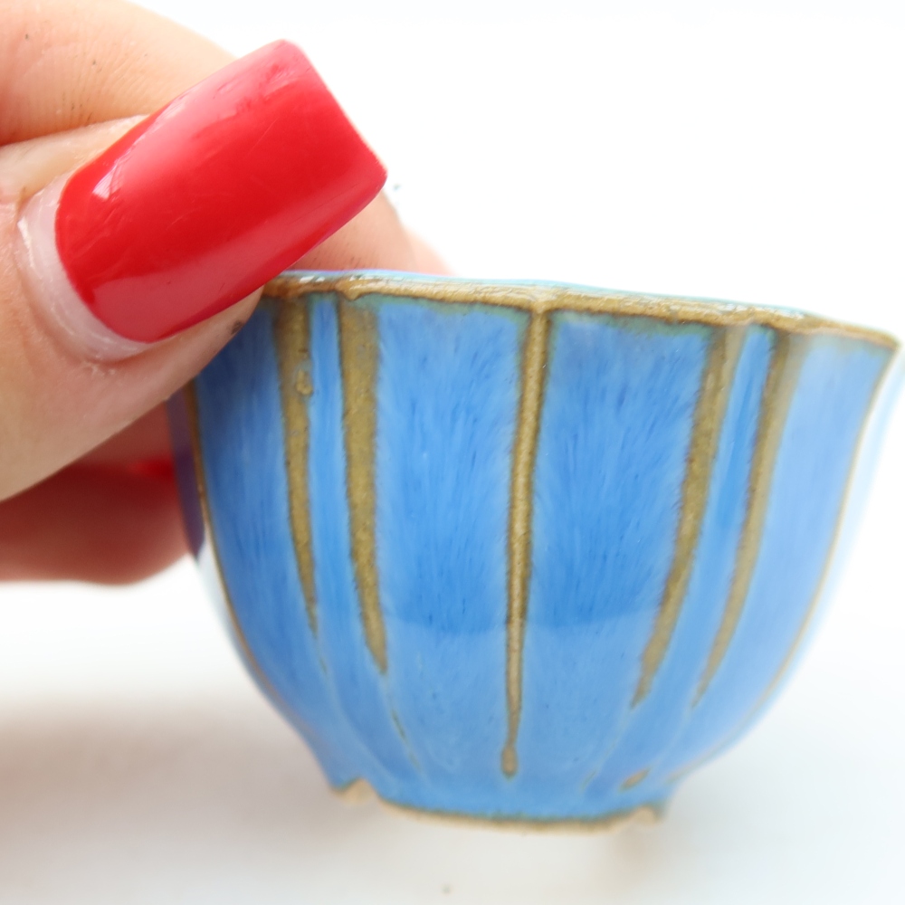 Pot à bonsaï en céramique 5,5 x 5,5 x 3,5 cm, couleur bleue