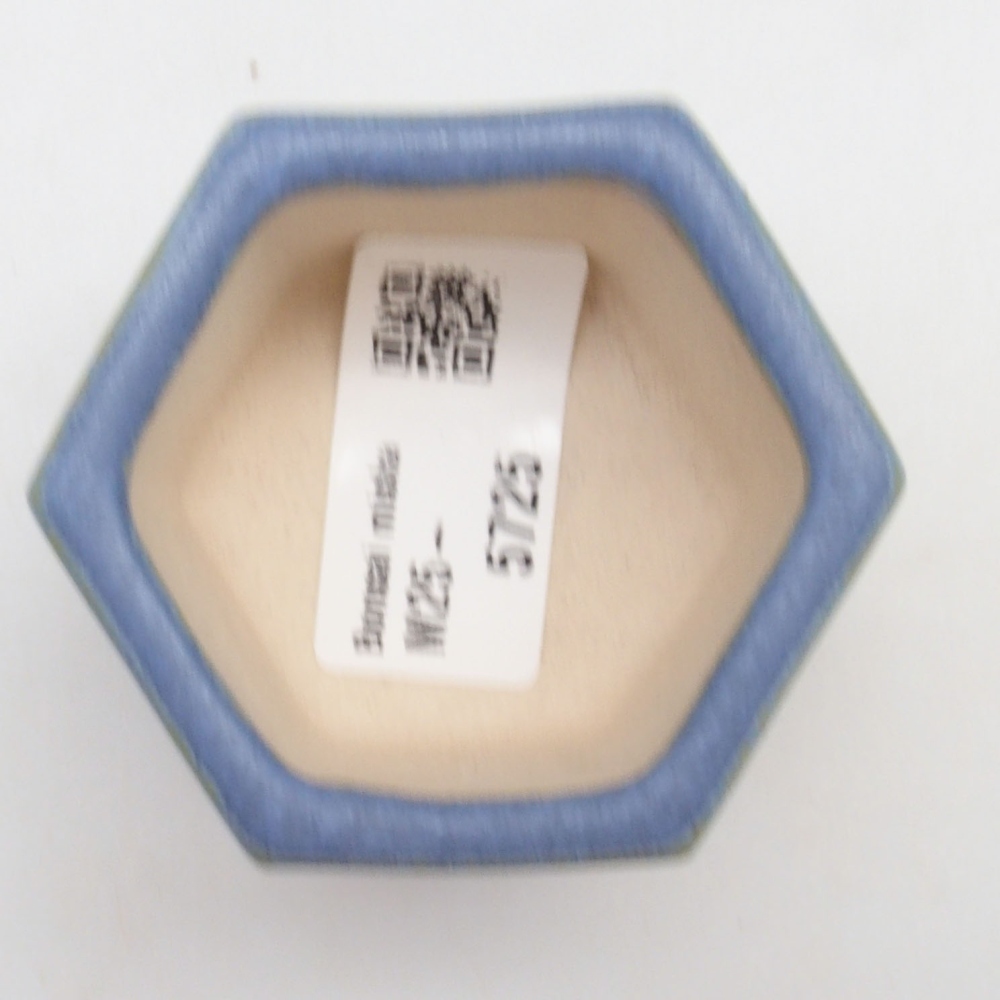 Mini bol bonsaï 6 x 5,5 x 4 cm, couleur bleu