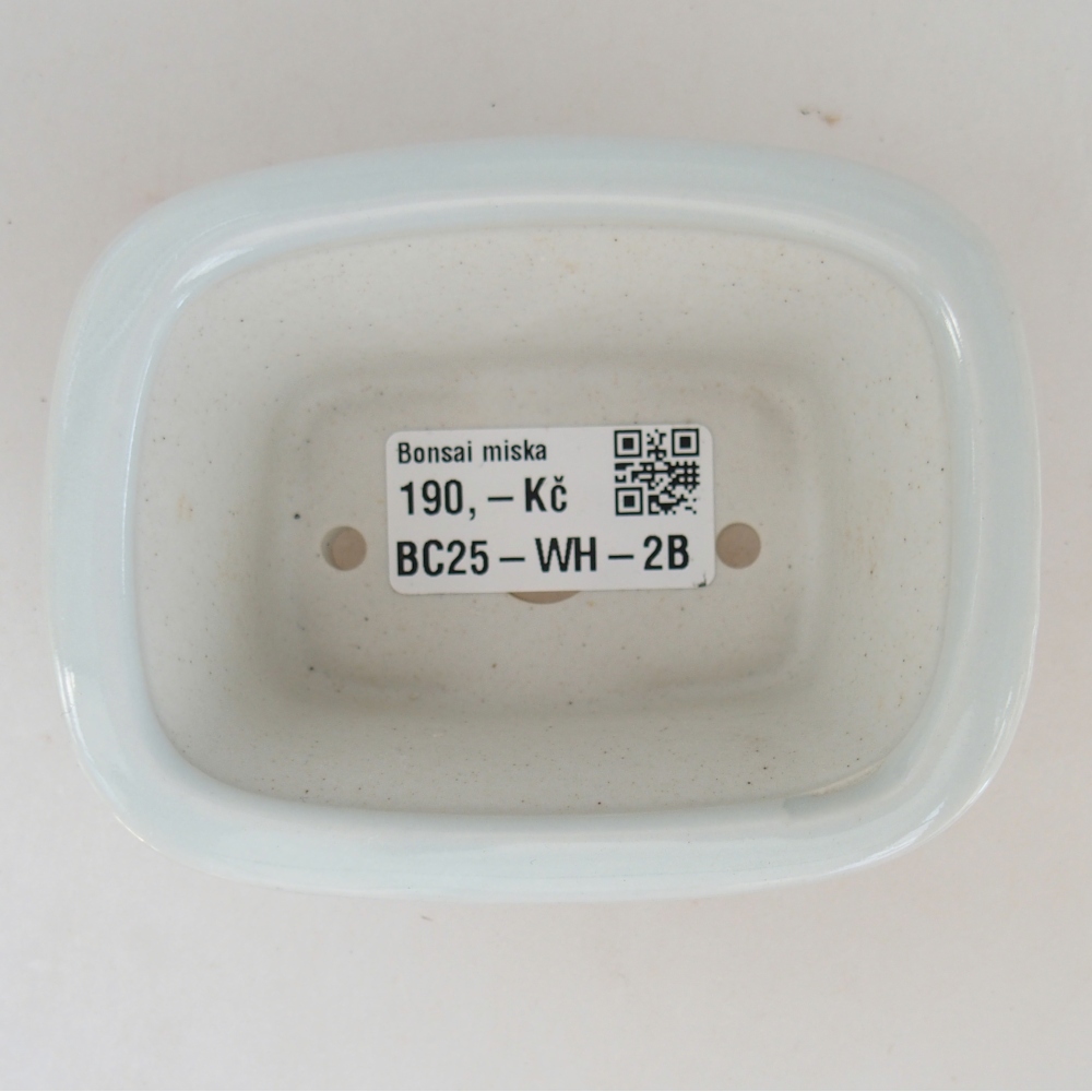 Mini bol bonsaï 10 x 7,5 x 4 cm, couleur blanc