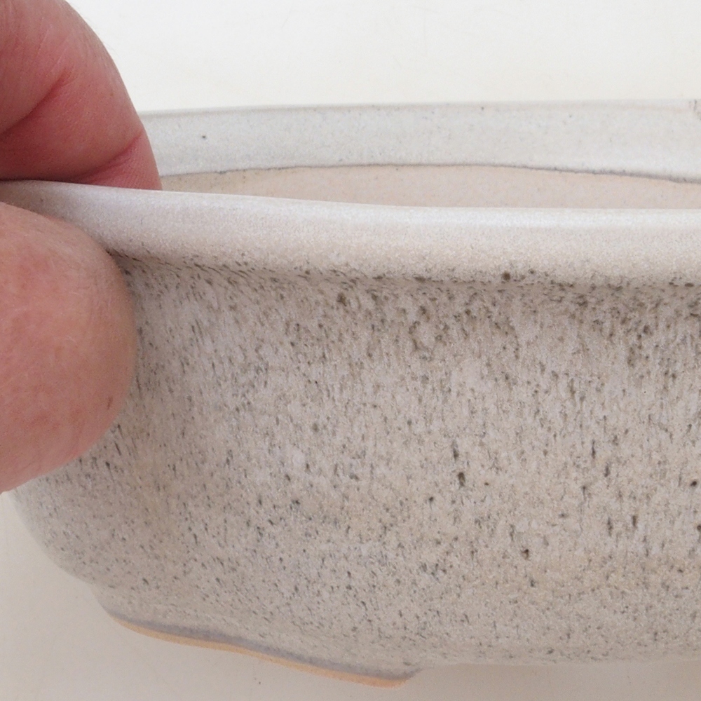 Coupe bonsaï H75 - 19 x 14 x 6,5 cm - beige