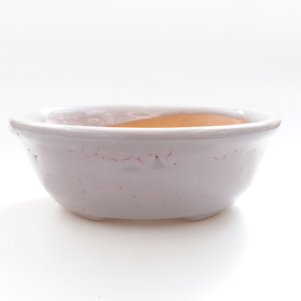 Bol à bonsaï en céramique 22 x 17 x 5 cm, vert