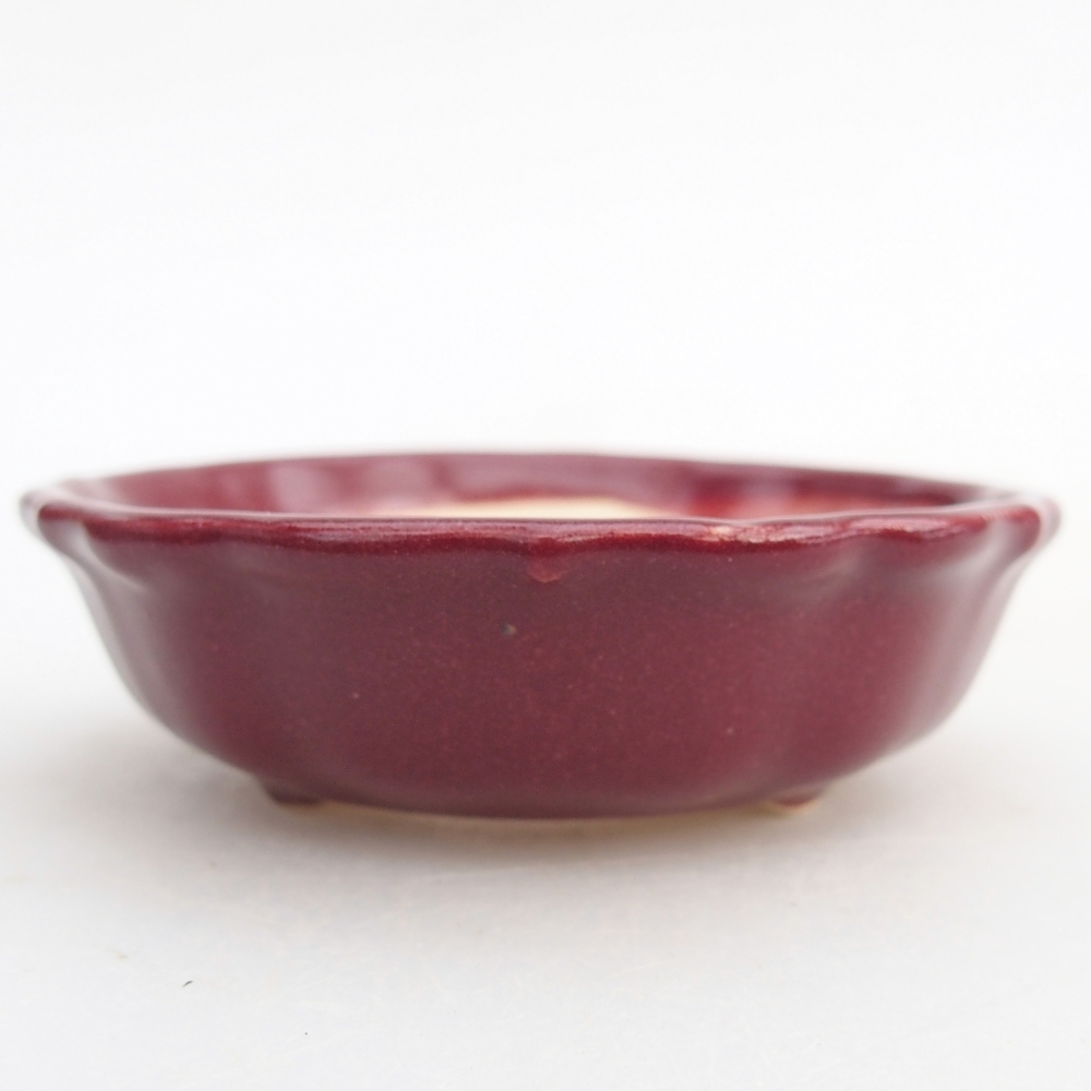 Mini bol bonsaï 7,5 x 7,5 x 2,5 cm, bordeaux