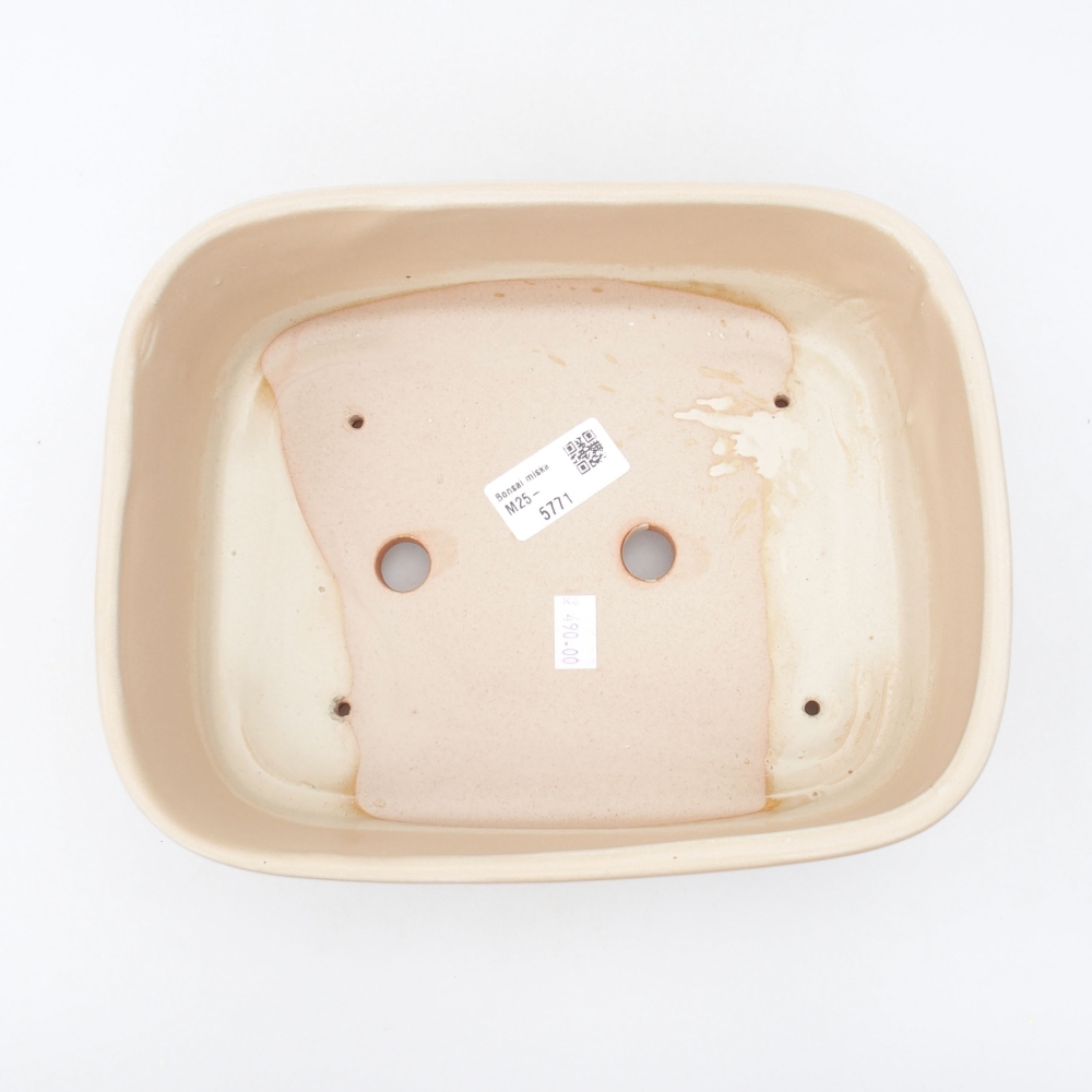 Bol à bonsaï en céramique 23 x 18 x 7,5 cm, couleur beige