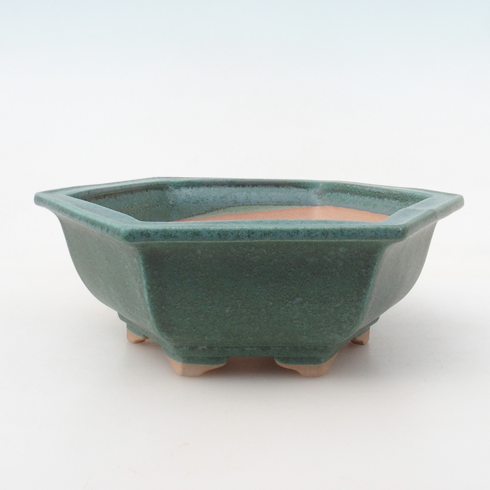 Bol Bonsaï + soucoupe H53 - 19 x 21,5 x 7 cm - vert