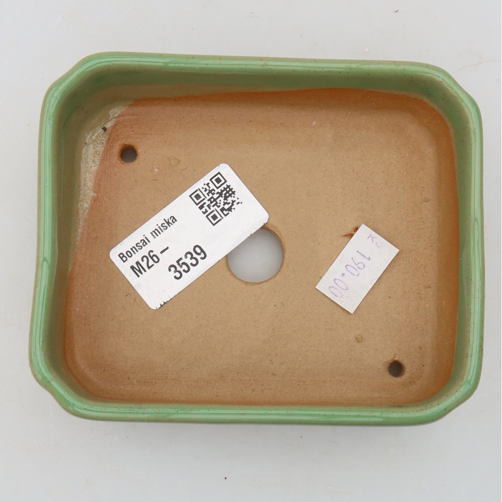 Pot à bonsaï en céramique 10,5 x 9 x 3 cm, couleur verte