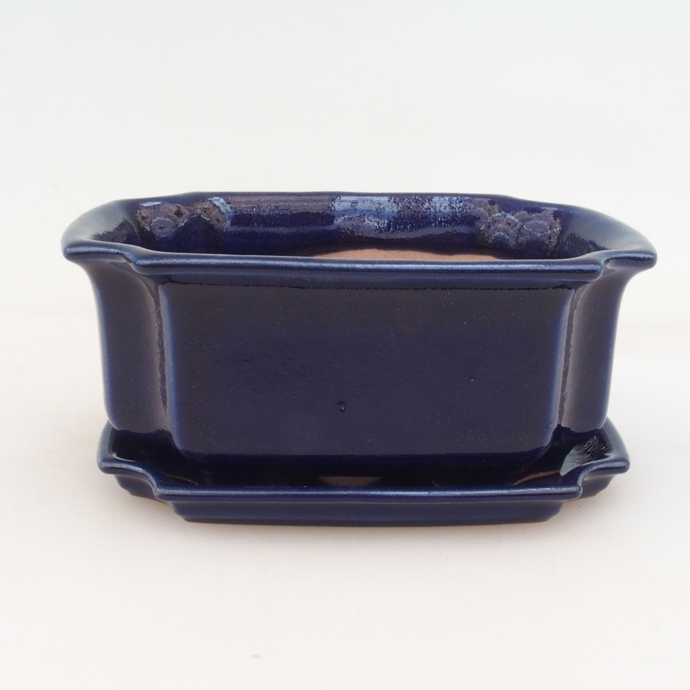 Bol Bonsaï + soucoupe H01 - bleu