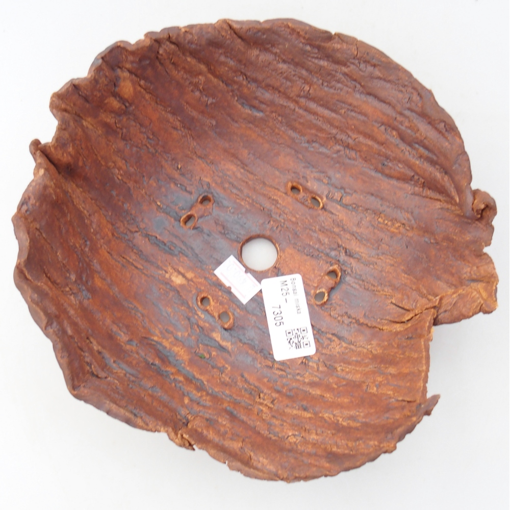 Coquille en céramique 20 x 20 x 8 cm , couleur marron