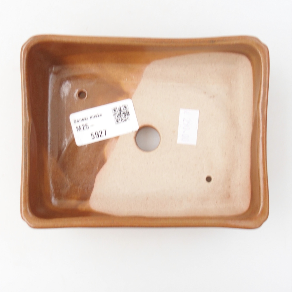 Bol à bonsaï en céramique 22 x 17 x 5 cm, vert