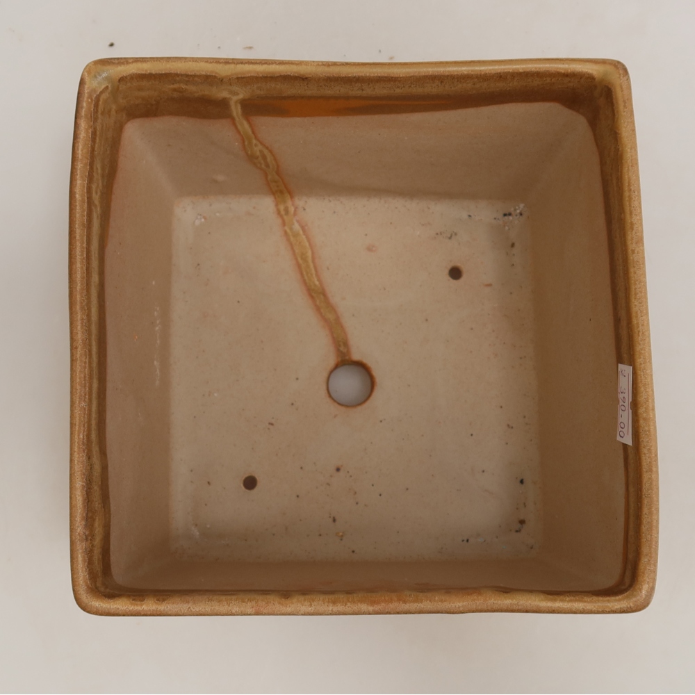 Pot à bonsaï en céramique 15 x 15 x 10,5 cm, couleur beige