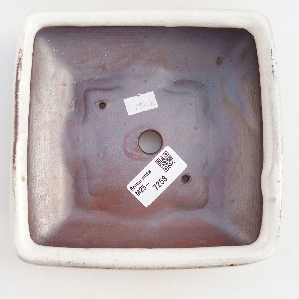 Bol à bonsaï en céramique 15,5 x 15,5 x 6 cm, blanc