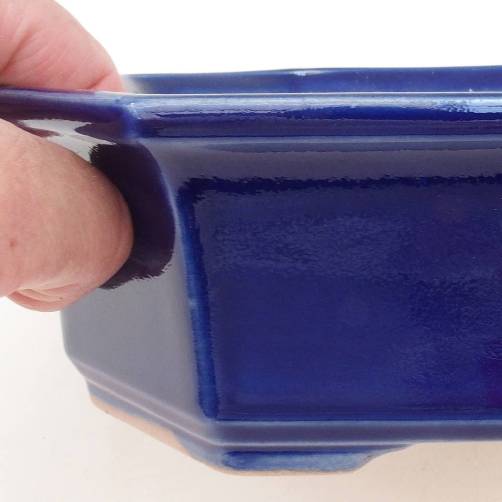 Coupe bonsaï H14 - 17,5 x 17,5 x 6 - bleu