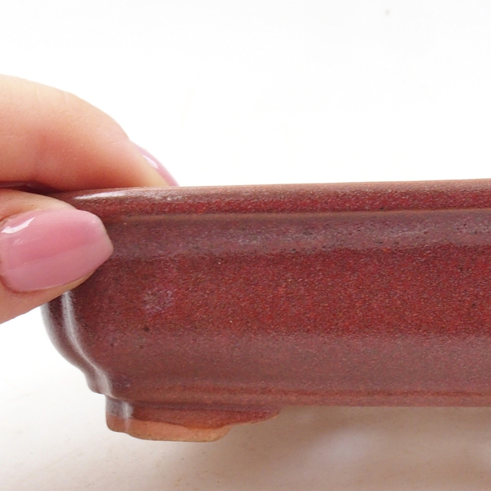 Bol à bonsaï en céramique 14 x 11 x 4 cm, bordeaux