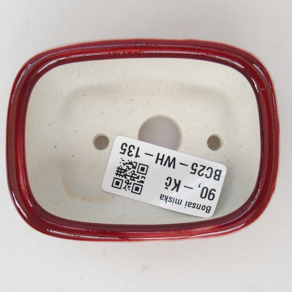 Mini bol bonsaï 8 x 6 x 3 cm, couleur rouge