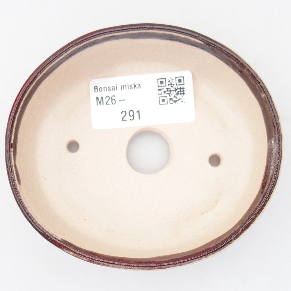 Mini bol bonsaï 9,5 x 8,5 x 3 cm, couleur rouge