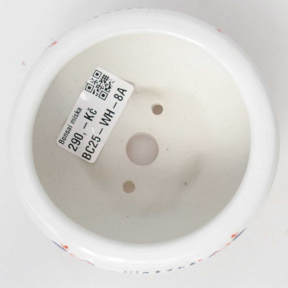 Bol à bonsaï en céramique 10 x 10 x 5 cm, couleur blanc