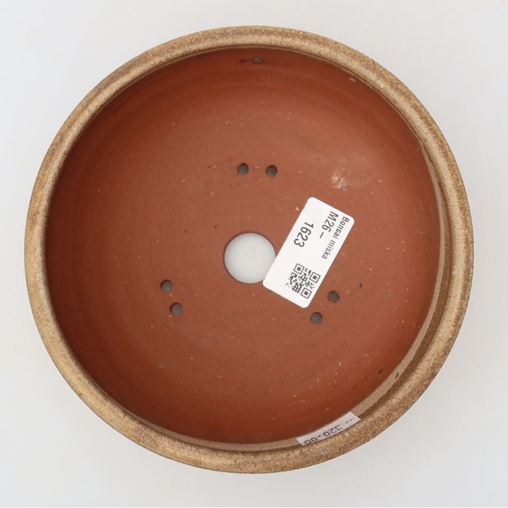 Bol à bonsaï en céramique 15 x 15 x 5 cm, brun