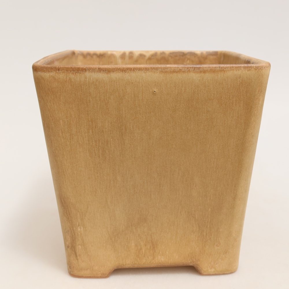 Bol à bonsaï en céramique 13 x 13 x 13,5 cm, couleur beige